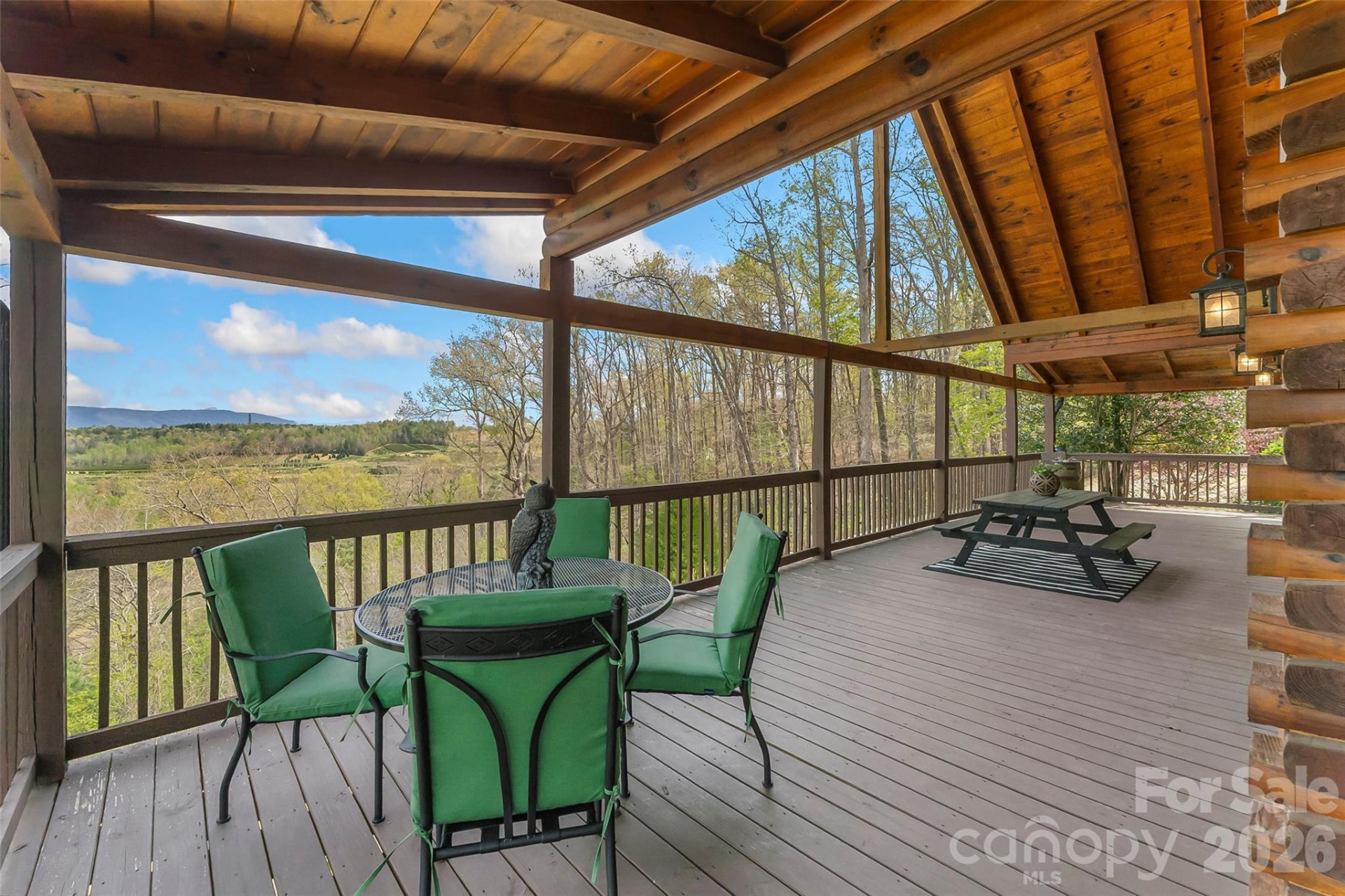 295 Outback Trail #29 - Photo 10