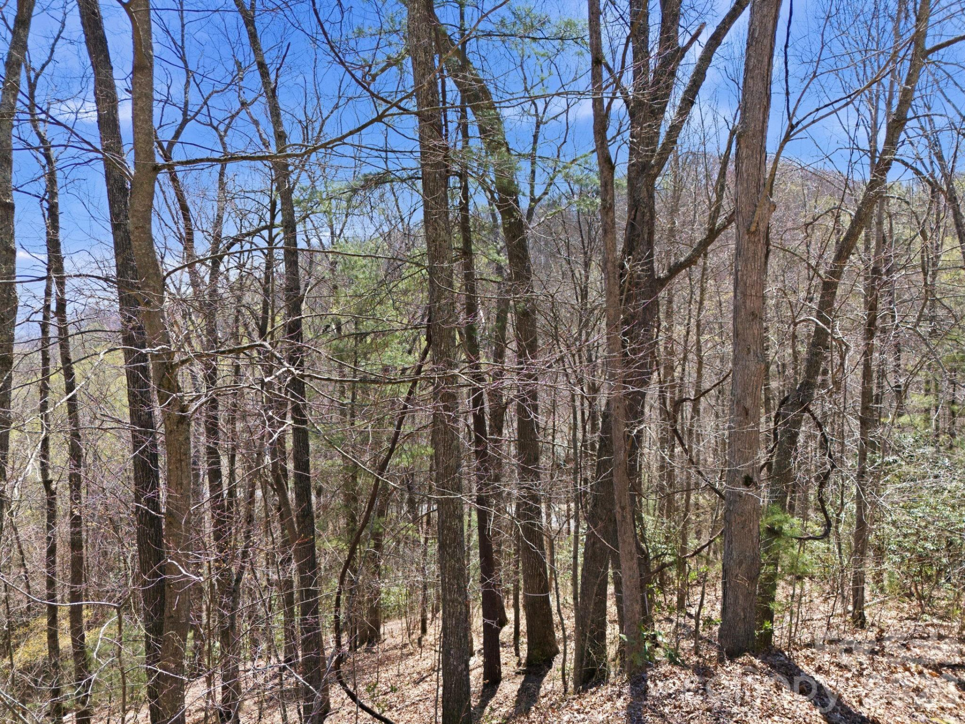 000 Signature Row Boulevard #10 - Photo 16