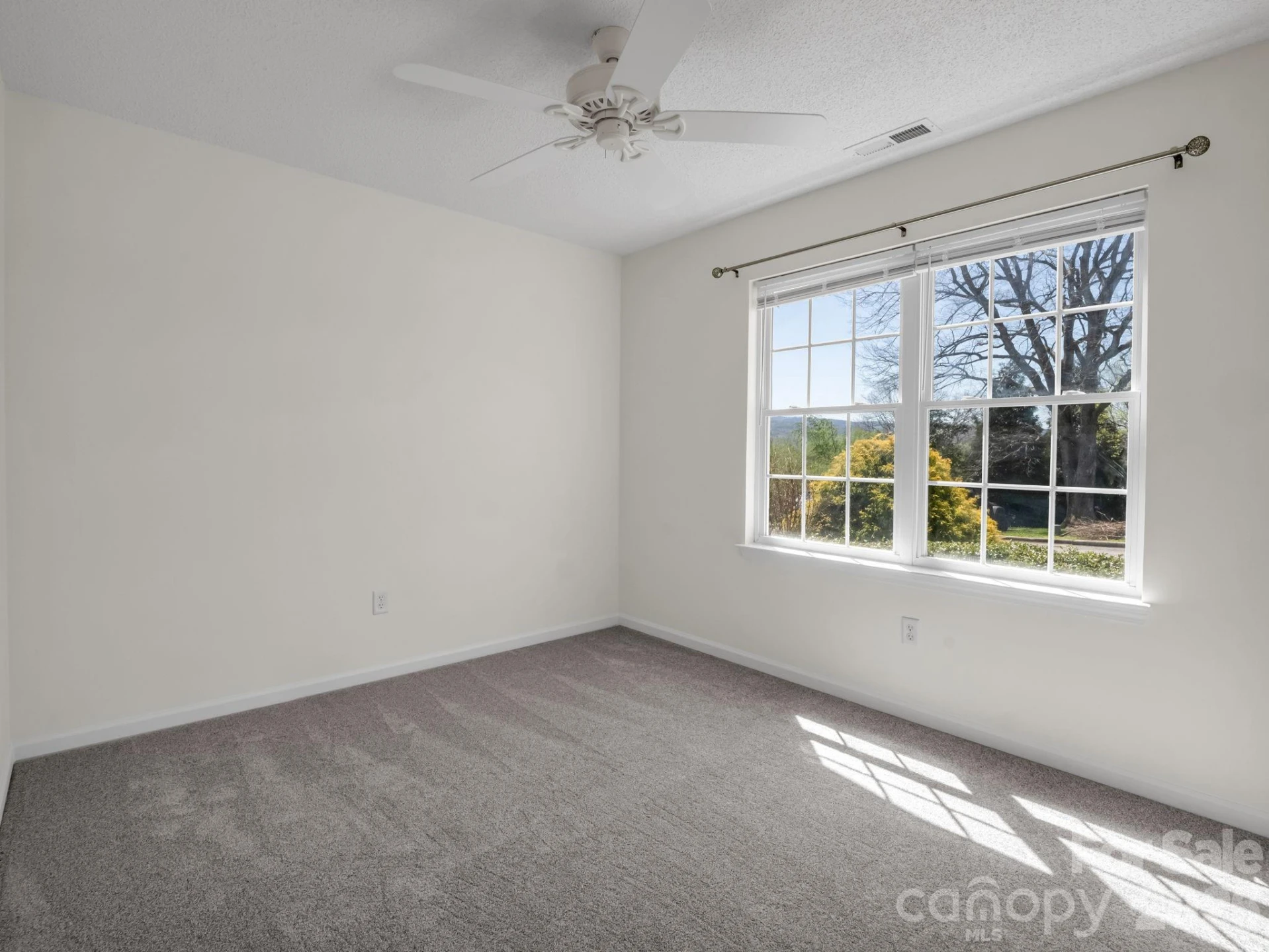 23 Tutor Lane - Photo 20