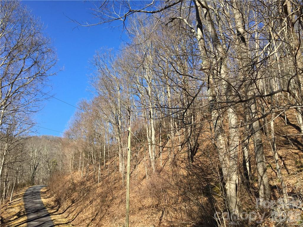 99999 Red Oak Forest Road - Photo 2