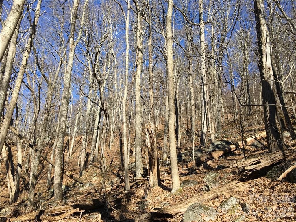 99999 Red Oak Forest Road - Photo 3