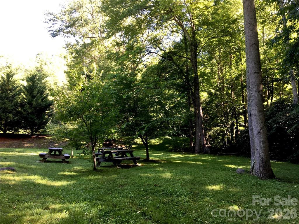 99999 Red Oak Forest Road - Photo 7