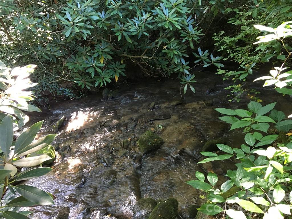 99999 Red Oak Forest Road - Photo 8