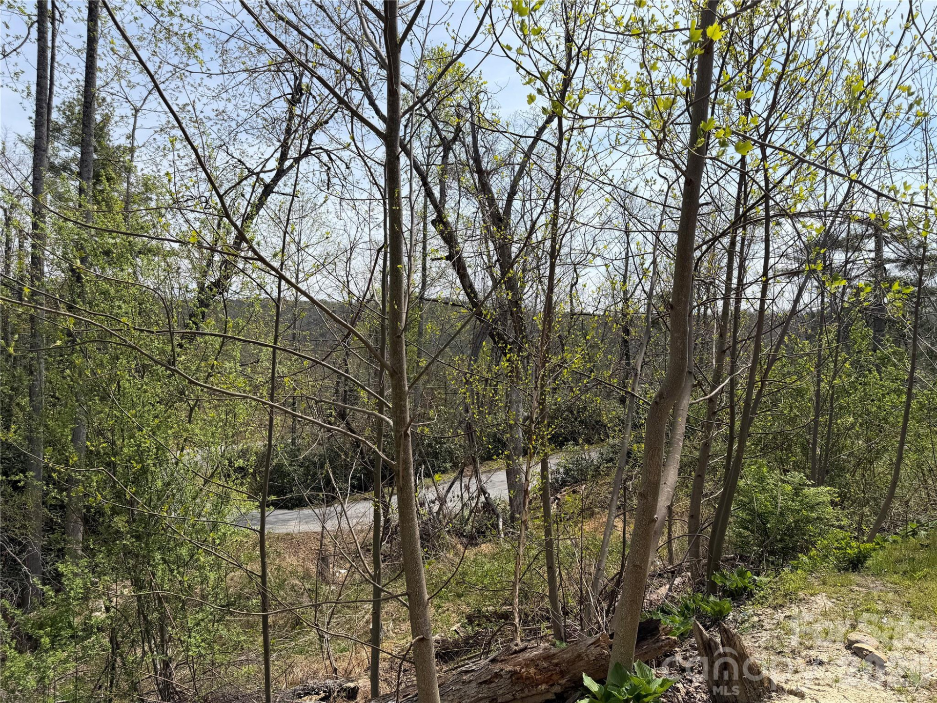 273 McMillan Drive - Photo 16