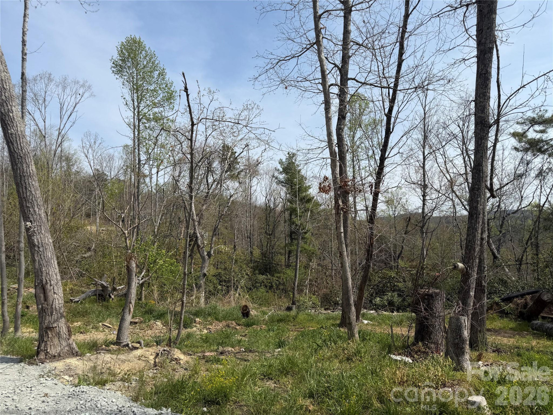 273 McMillan Drive - Photo 3