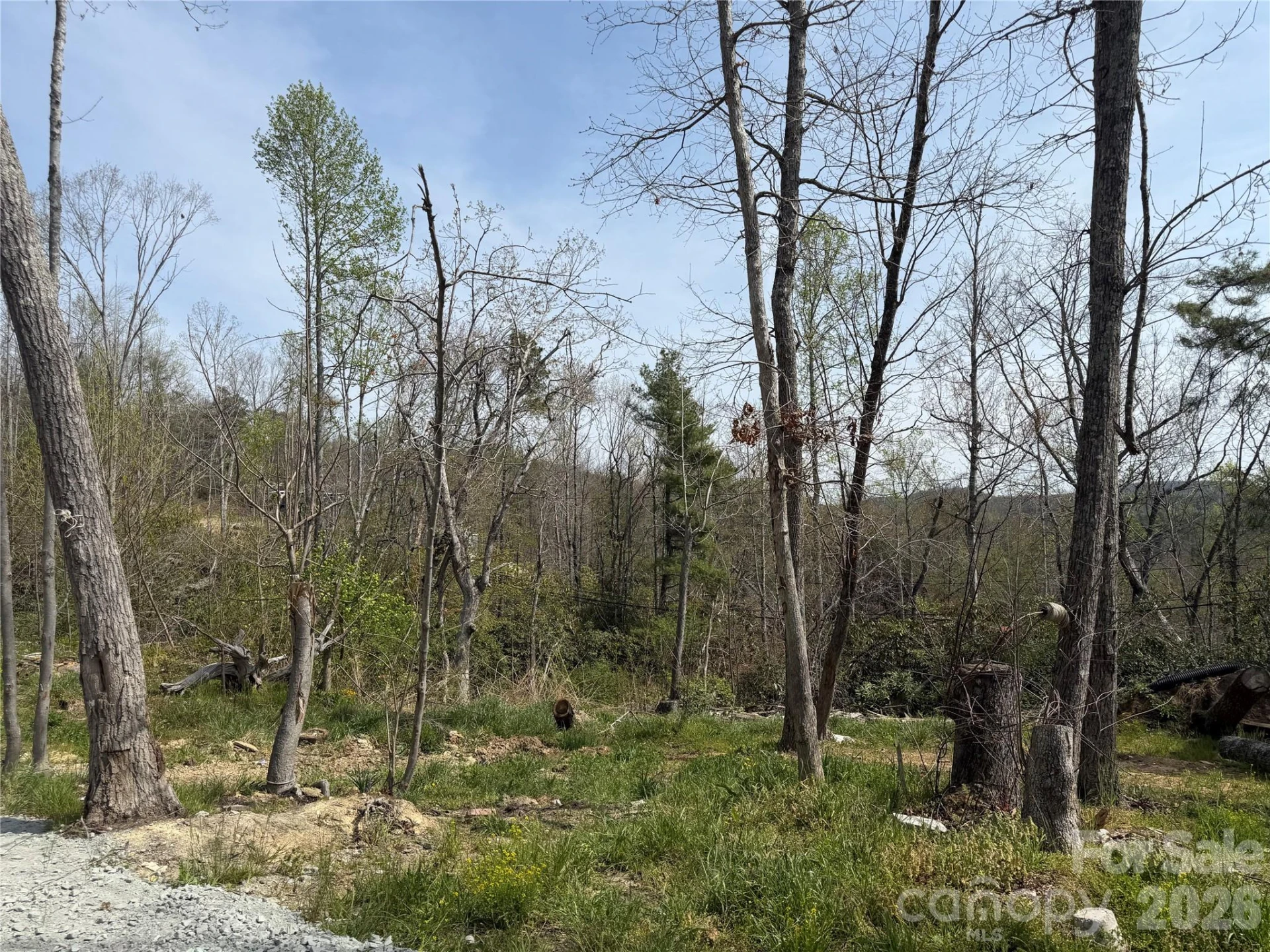 273 McMillan Drive - Photo 3