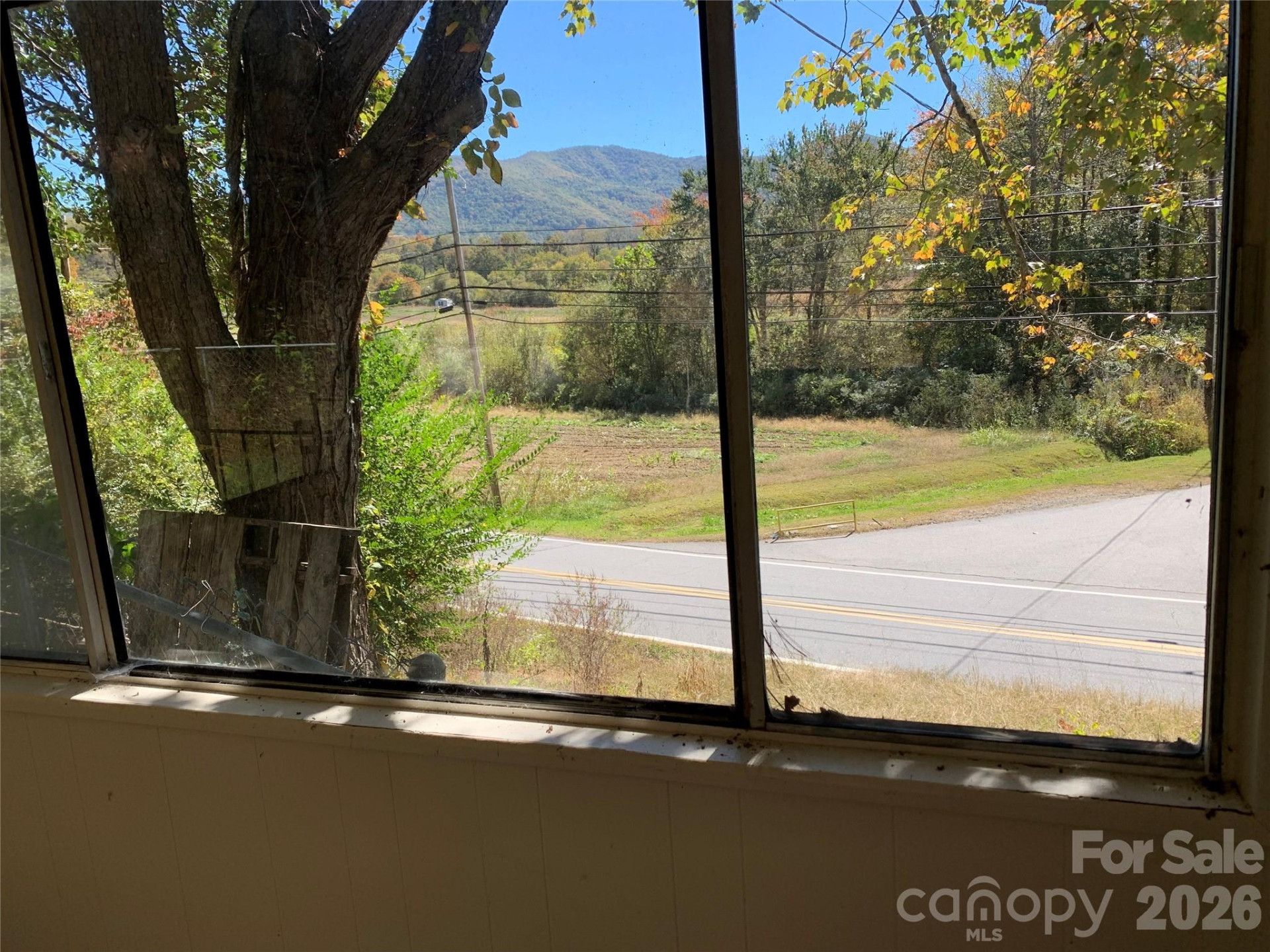 465 Bee Tree Road - Photo 8