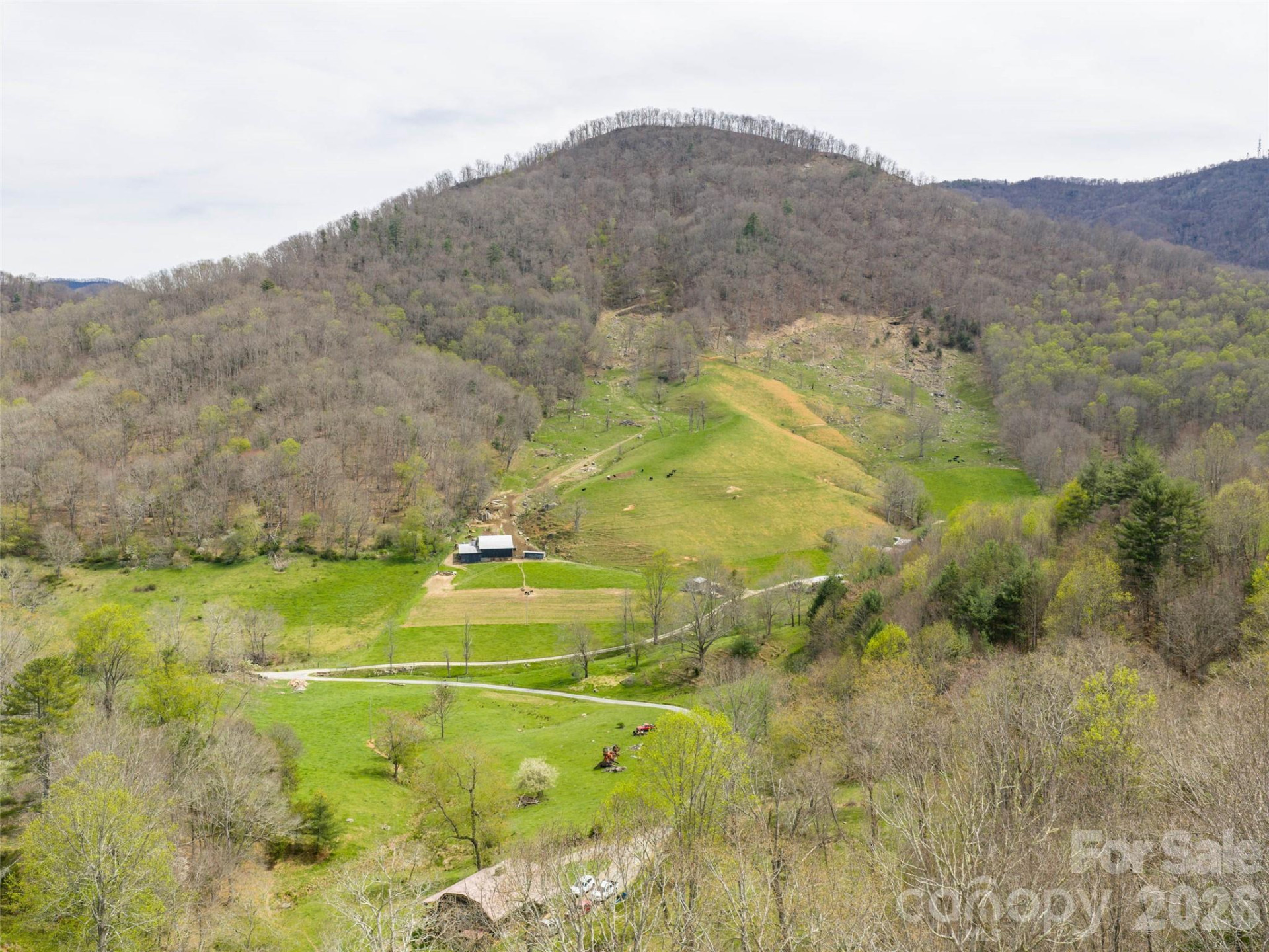 00 Winfield Drive - Photo 4