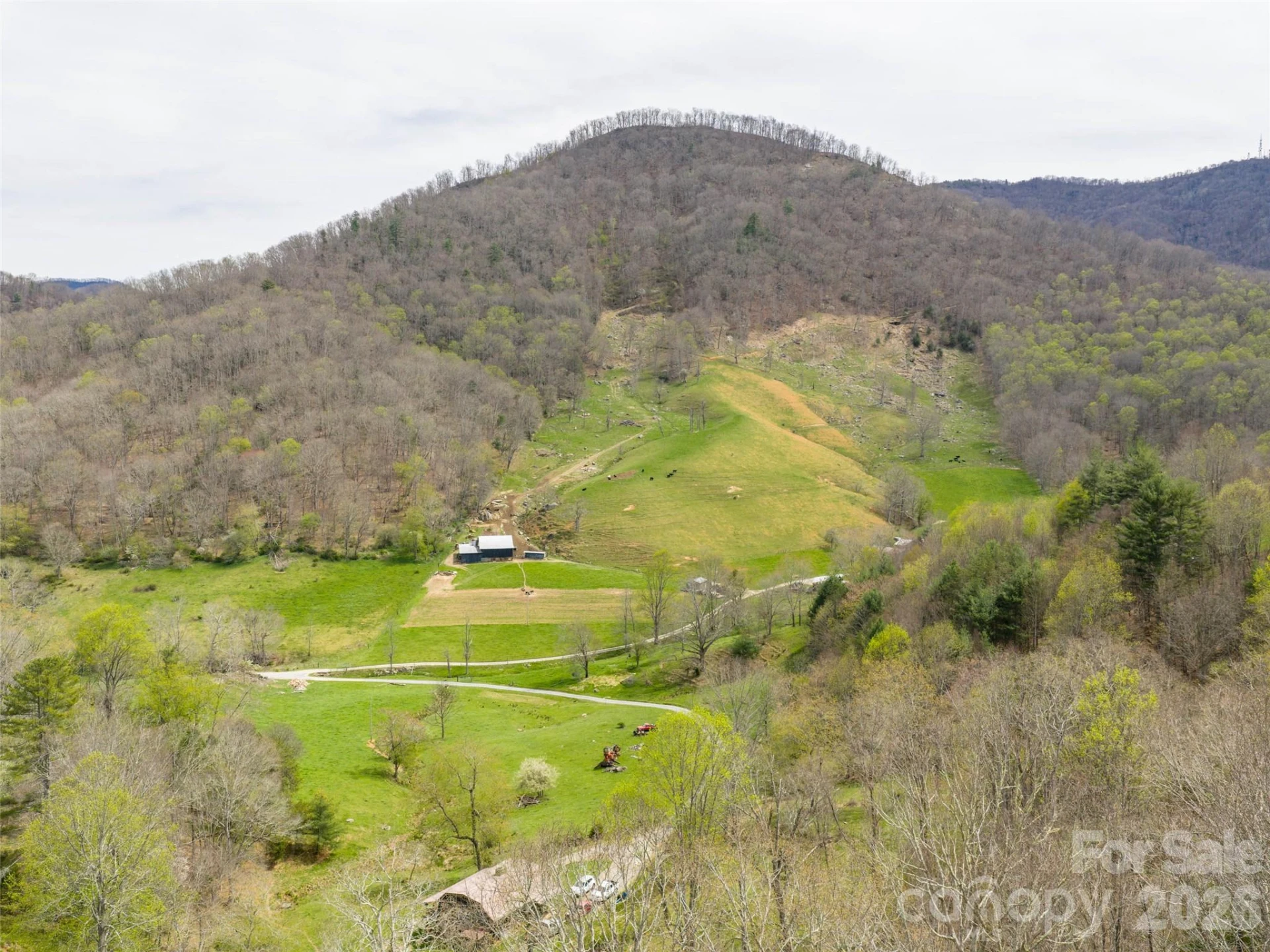 00 Winfield Drive - Photo 4