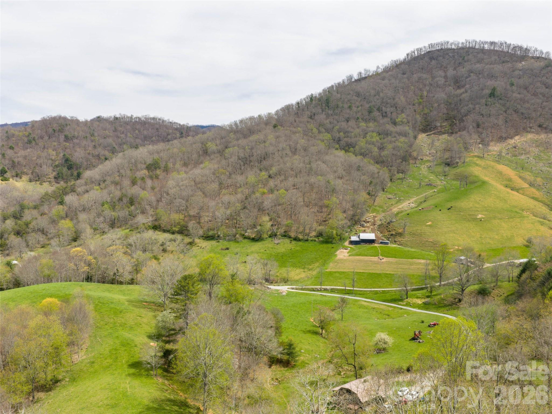 00 Winfield Drive - Photo 5