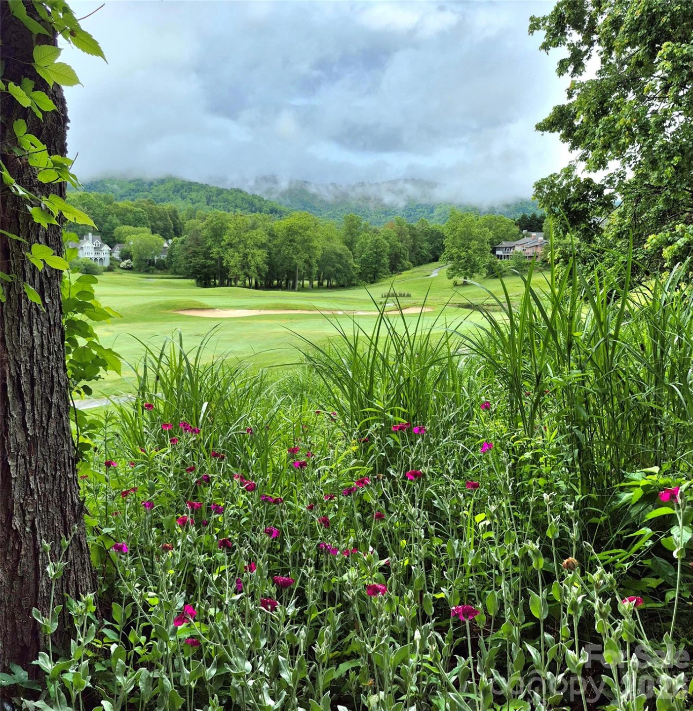 141 Amblers Knoll Road - Photo 48