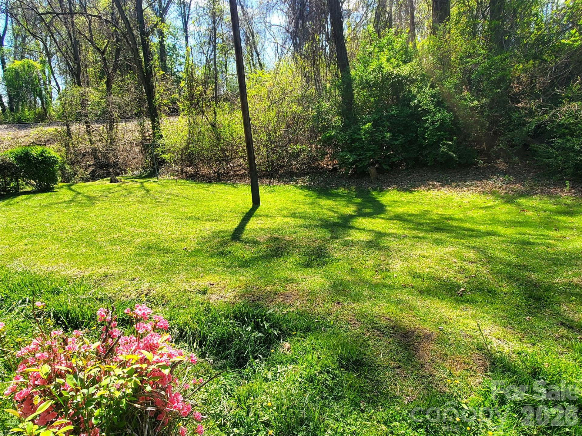 20 Homewood Drive - Photo 16