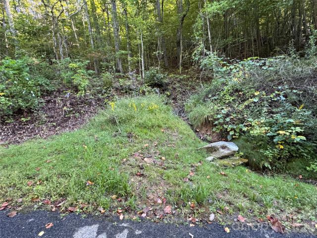 TBD Red Oak Forest Road, Fairview, NC, 28730
