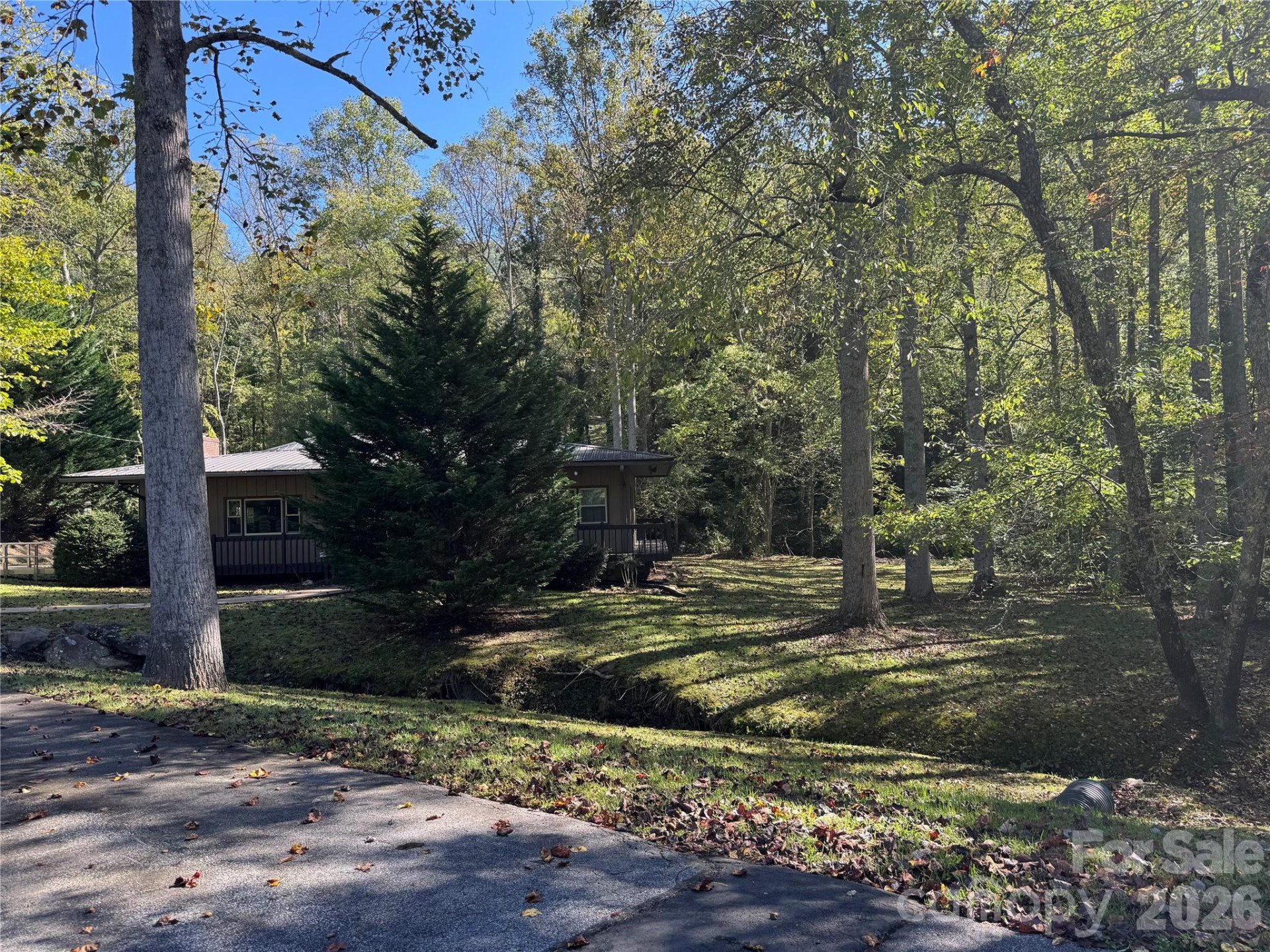 TBD Red Oak Forest Road - Photo 8