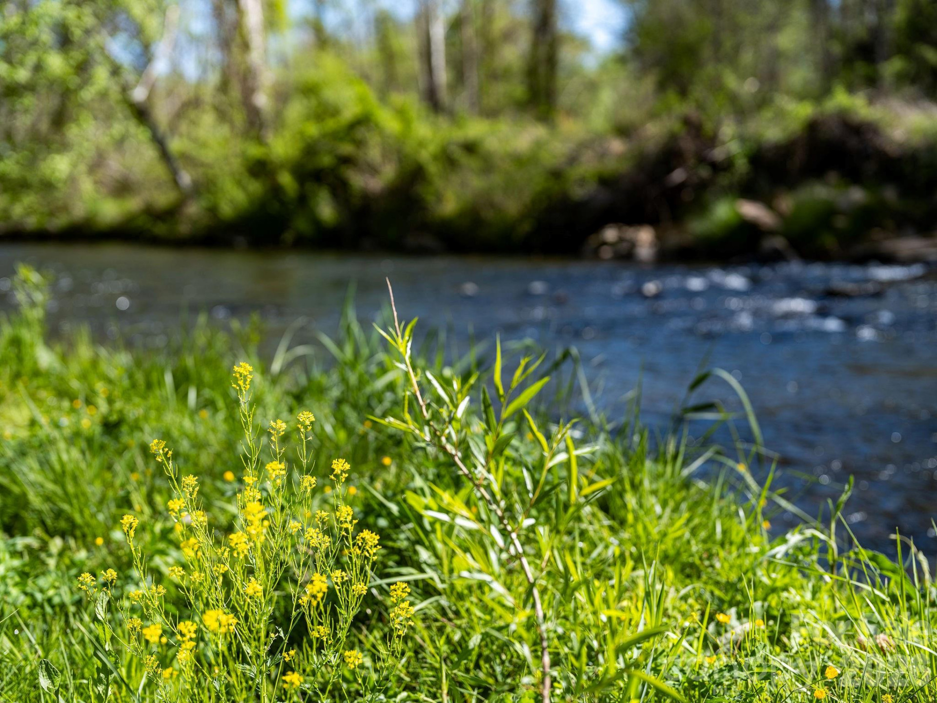 1182 Crabtree Road - Photo 27