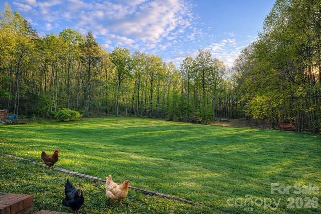 150 Little Creek Drive - Photo 4