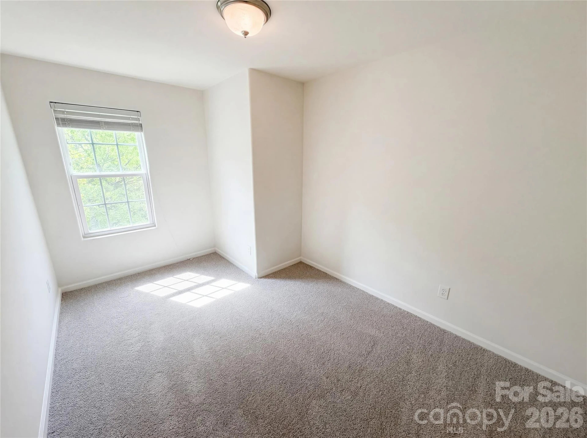 8321 Candlenut Lane - Photo 20
