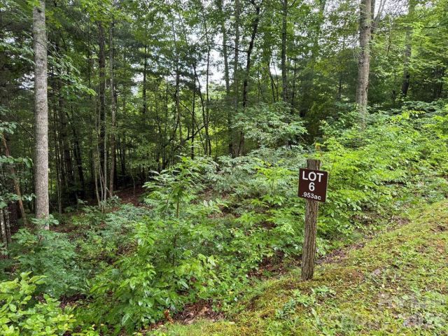 Lot 6 Garnet Road, Sylva, NC, 28779