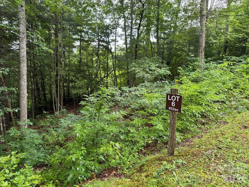 Lot 6 Garnet Road
