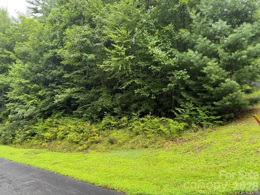 Lot 6 Garnet Road - Photo 2