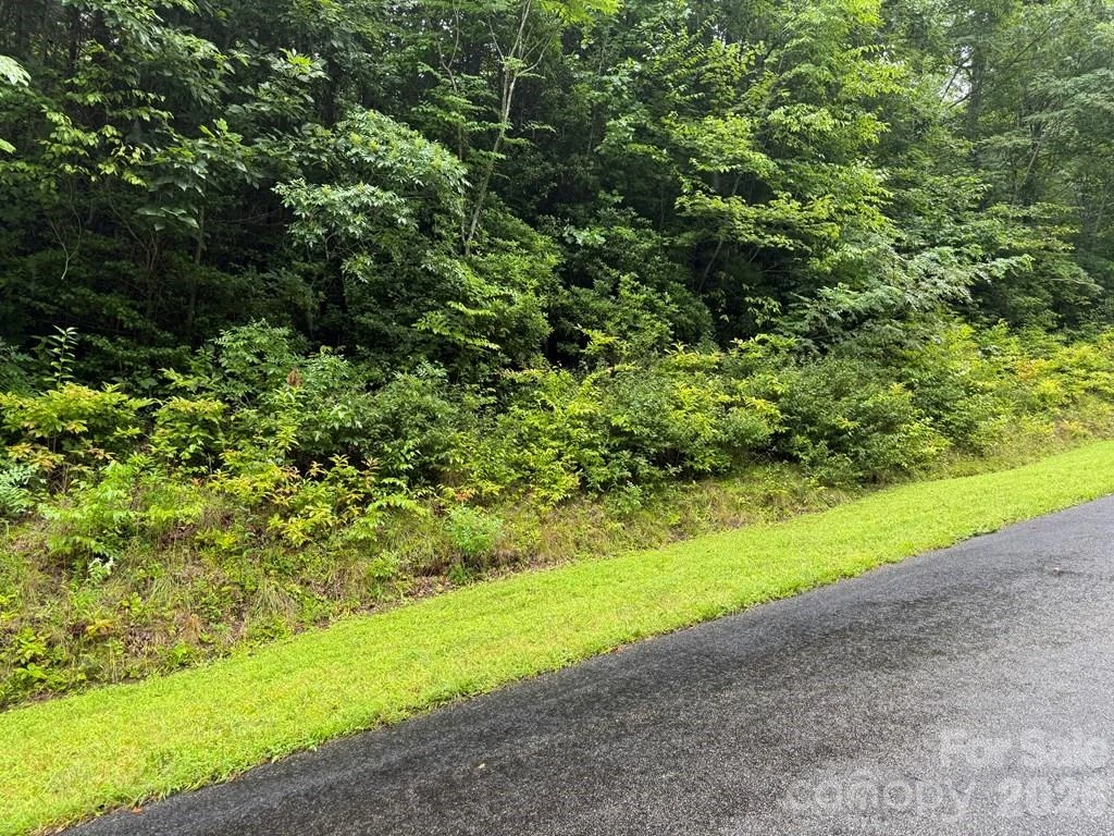 Lot 6 Garnet Road - Photo 3