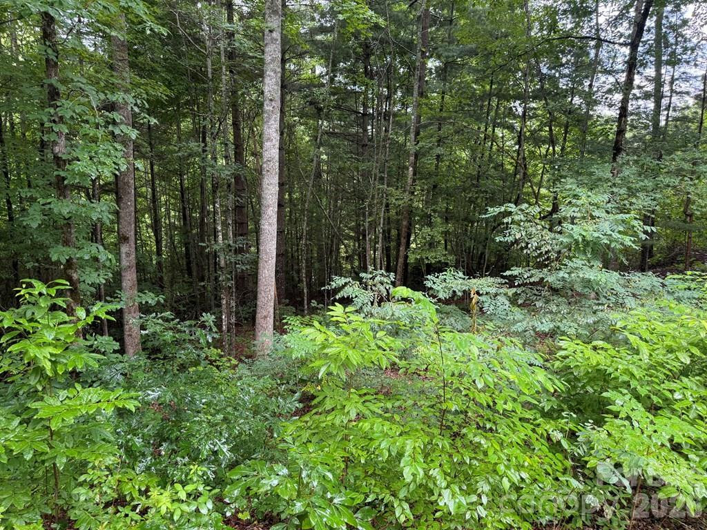 Lot 6 Garnet Road - Photo 4