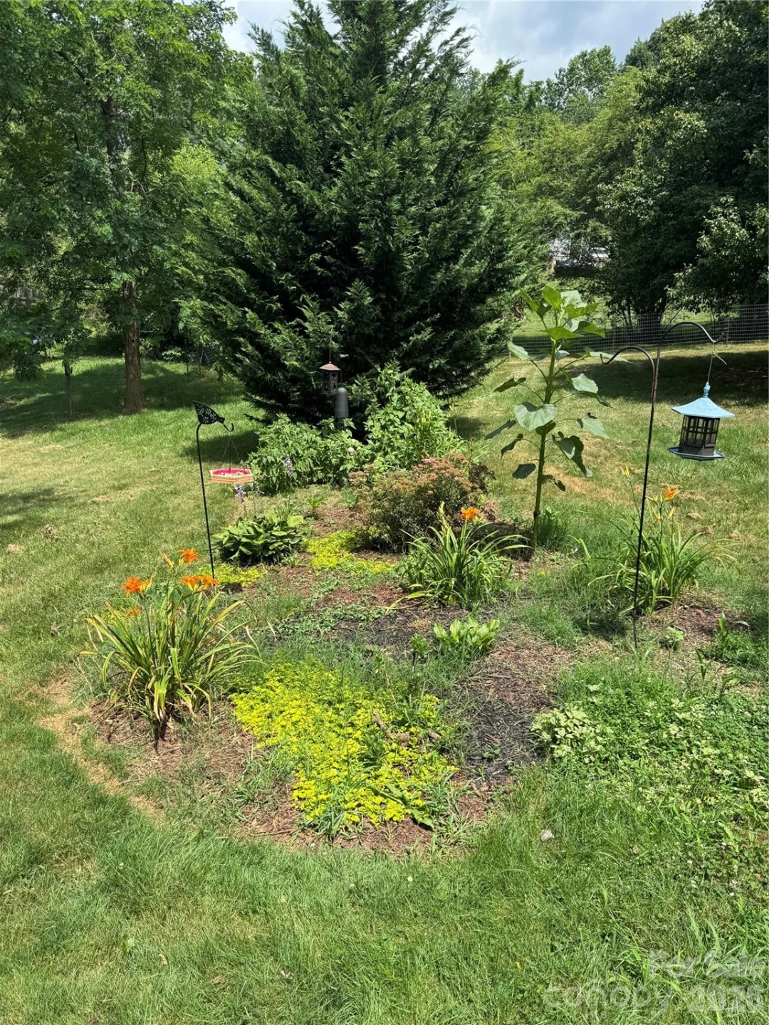 3 Odie Lane - Photo 39