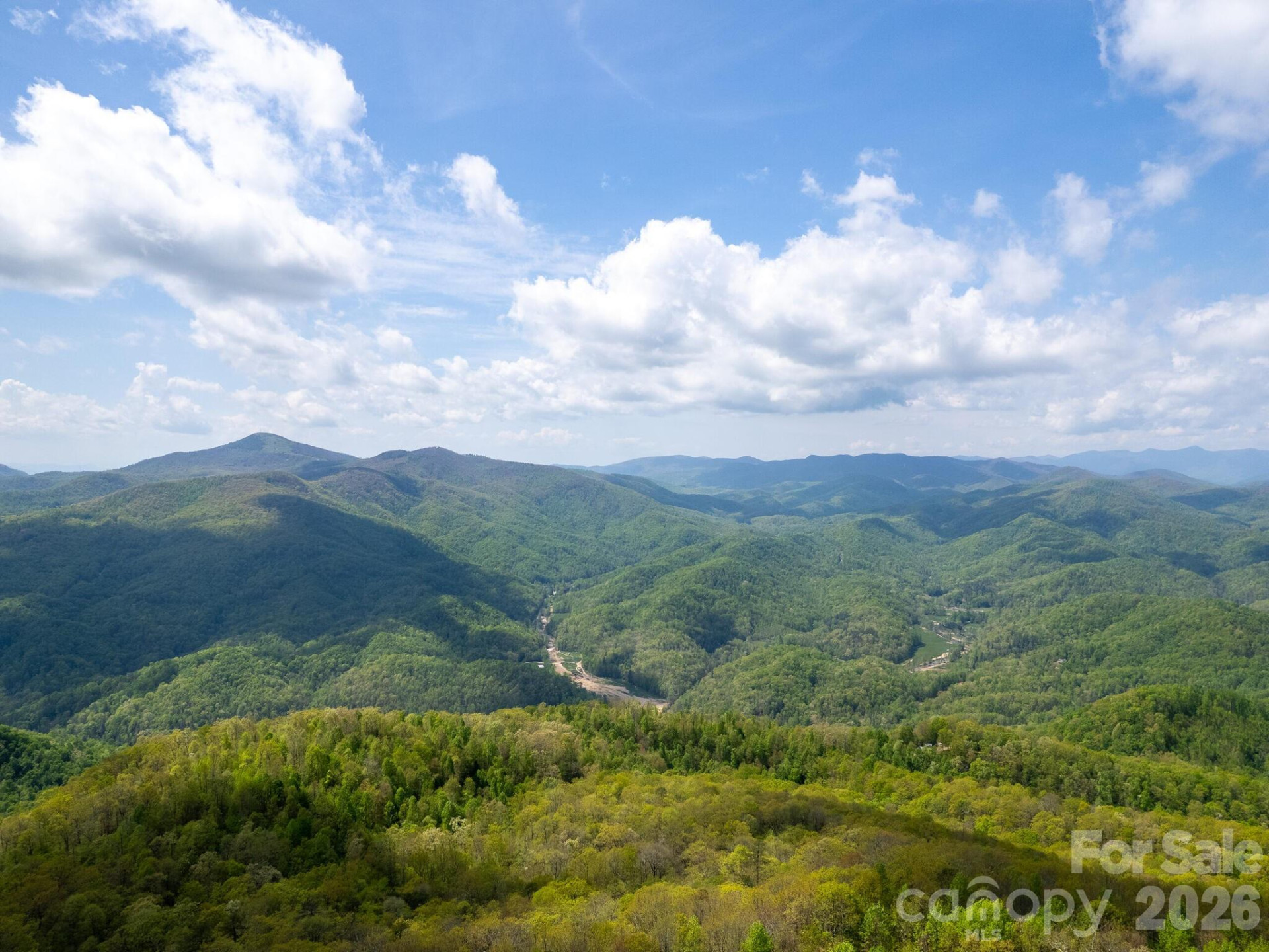 107 Fawns Rest None - Photo 6