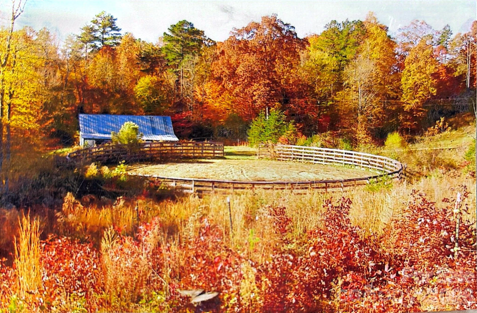 6582 Hoot Owls Hollow Road - Photo 43