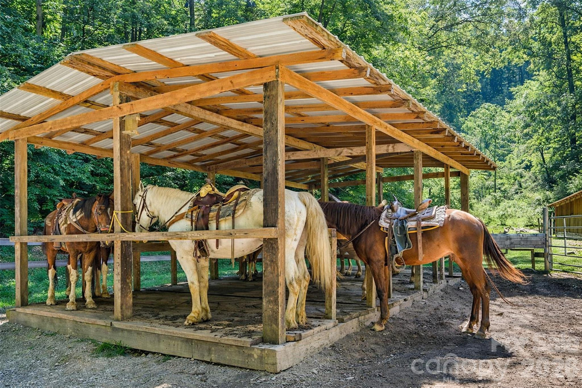 9400 Hwy 19 W Highway - Photo 38