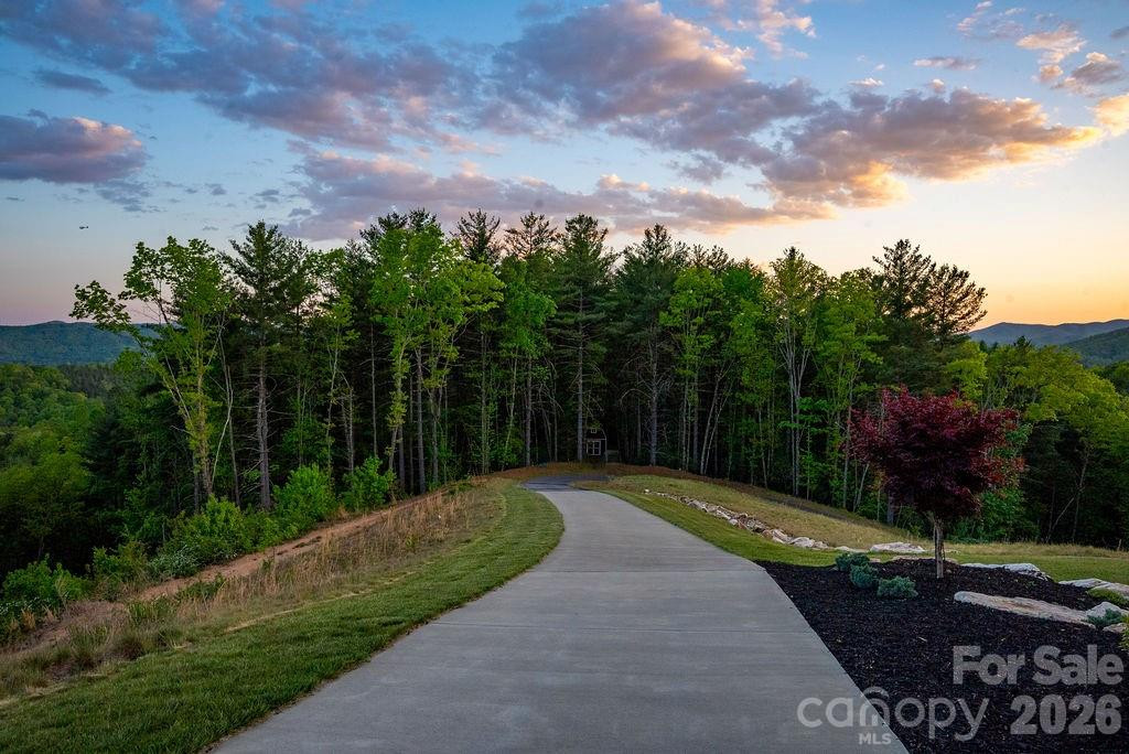 4454 Asheville Highway - Photo 43