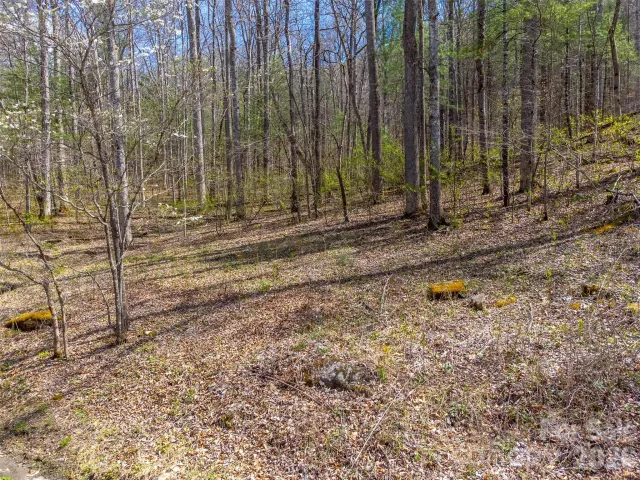 306 Cedar Creek Farm Road, Tuckasegee, NC, 28783