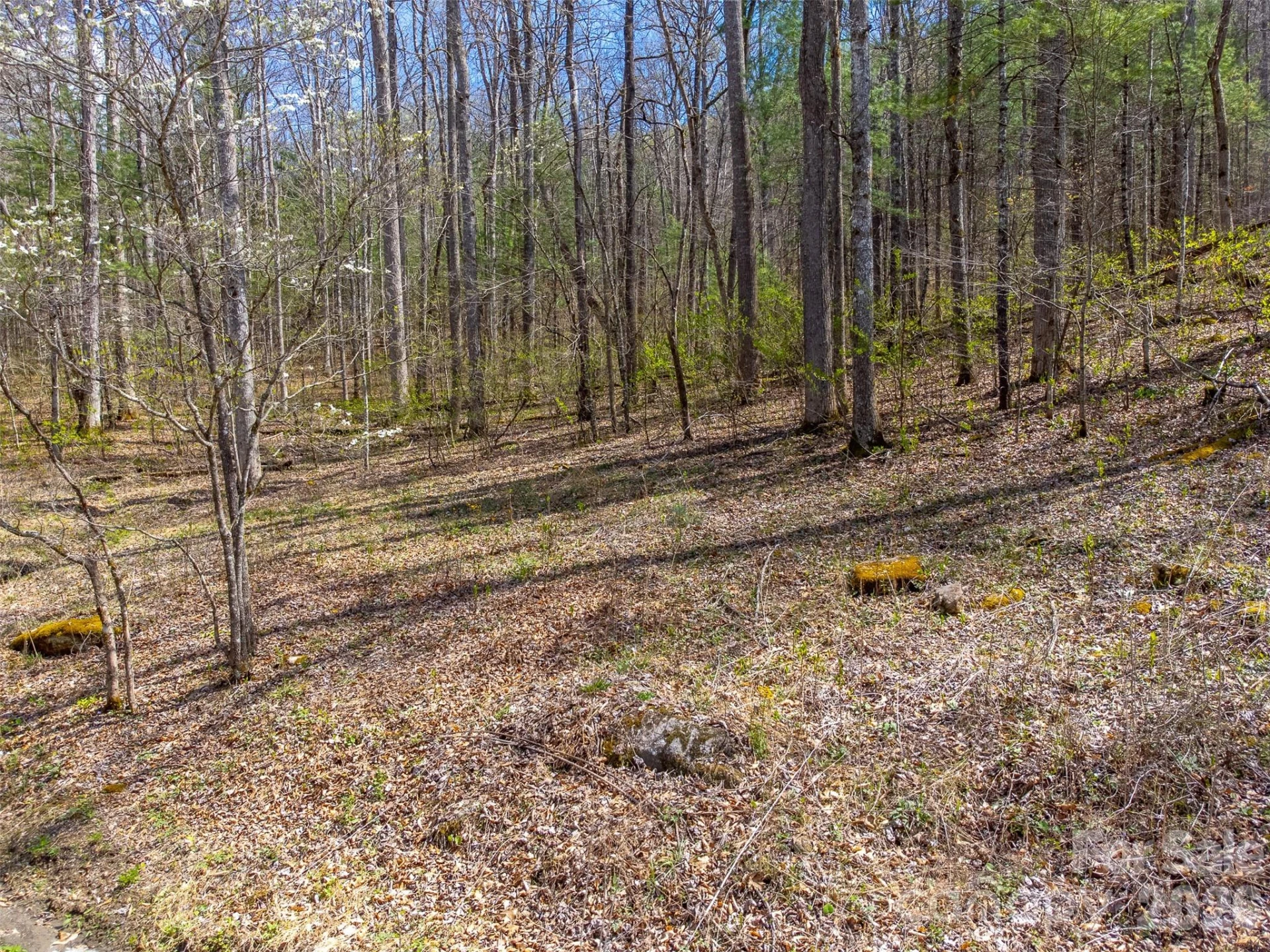 306 Cedar Creek Farm Road