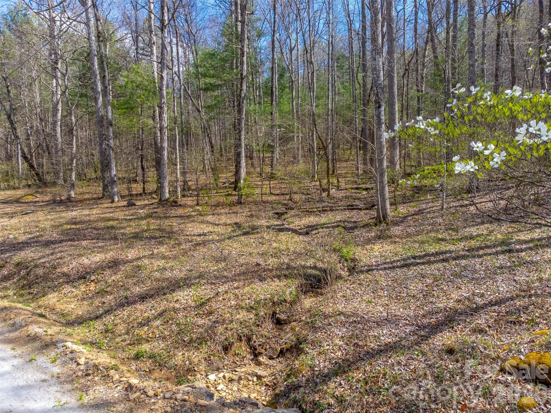 306 Cedar Creek Farm Road - Photo 2