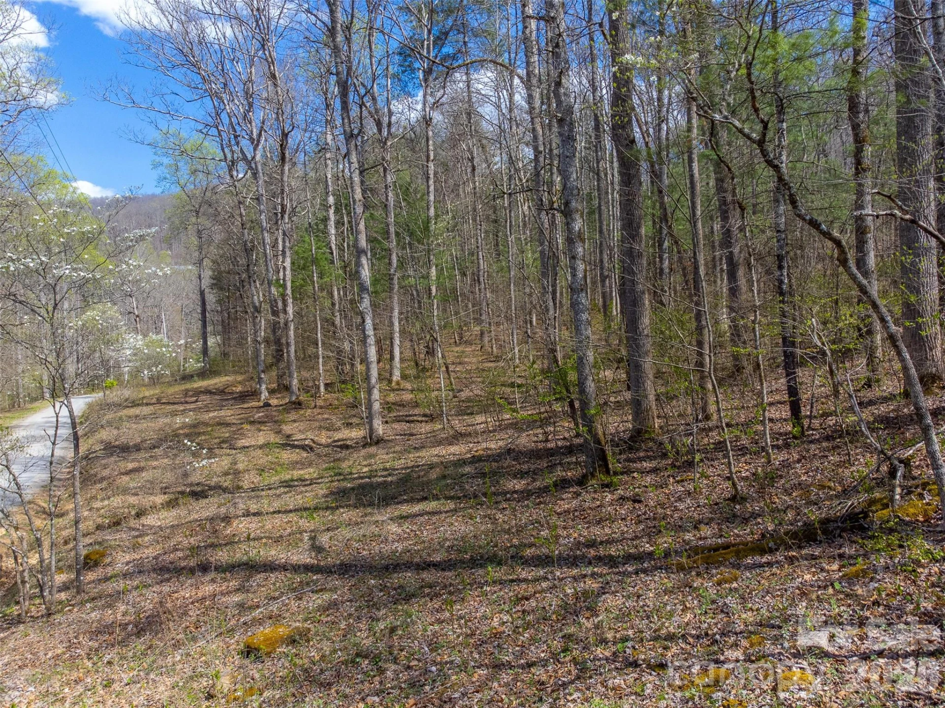 306 Cedar Creek Farm Road - Photo 13