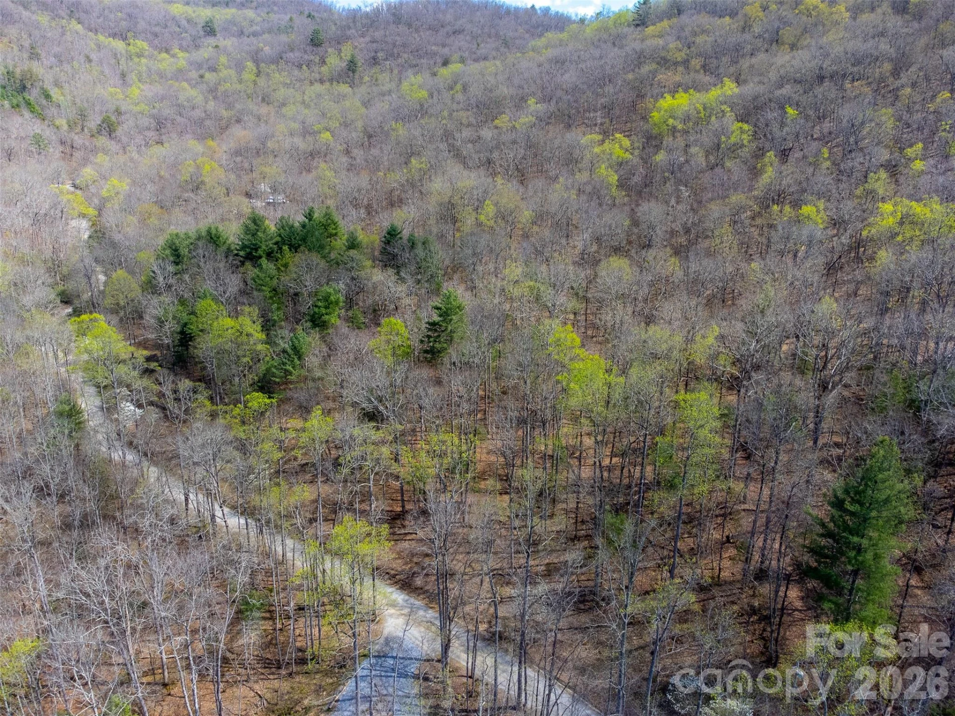 306 Cedar Creek Farm Road - Photo 14
