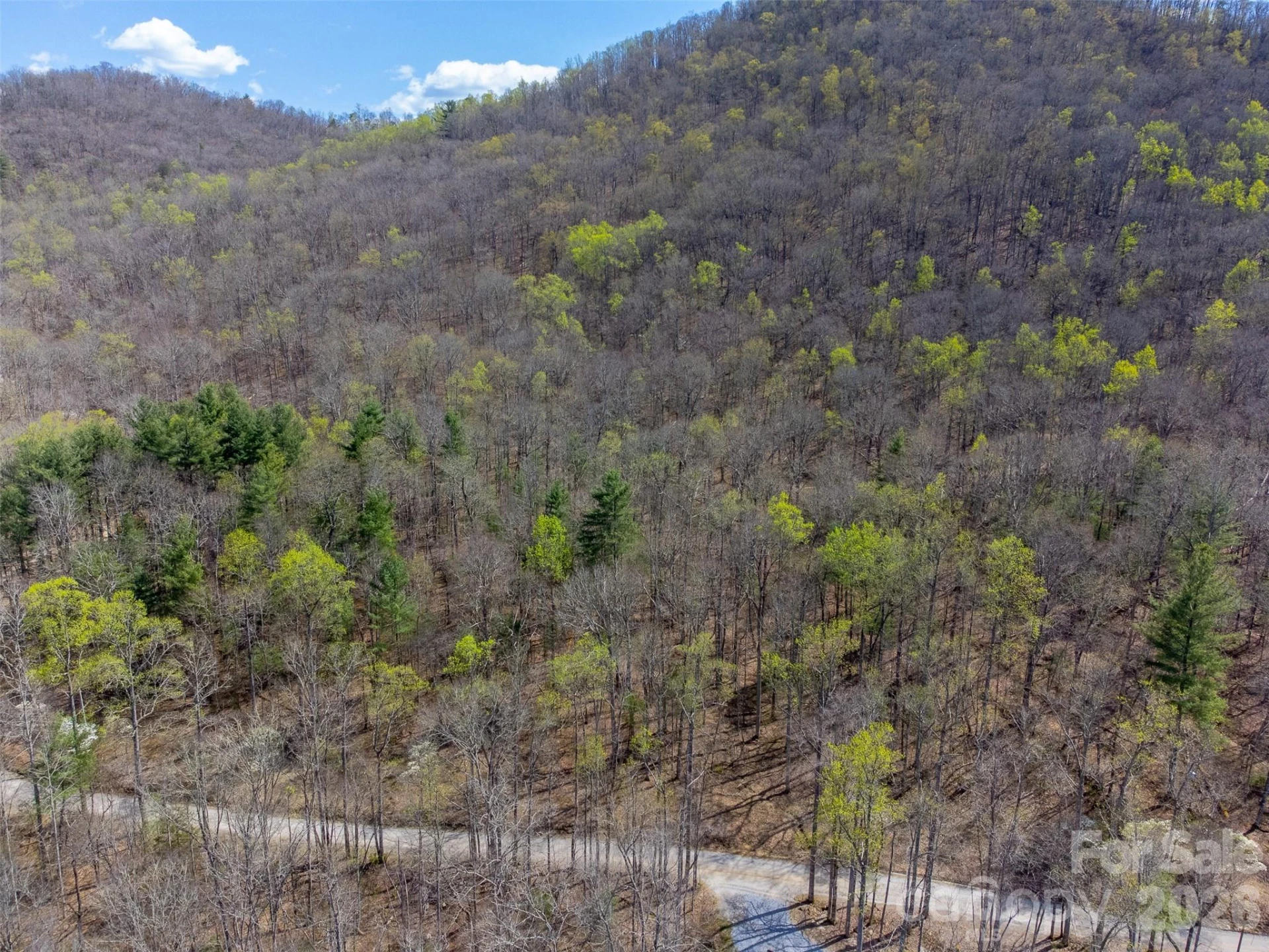 306 Cedar Creek Farm Road - Photo 15