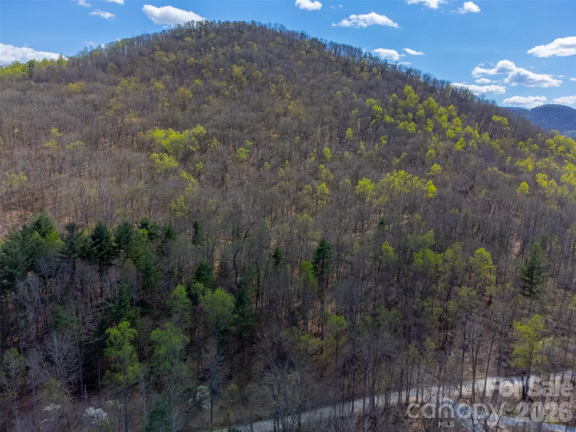 306 Cedar Creek Farm Road - Photo 16