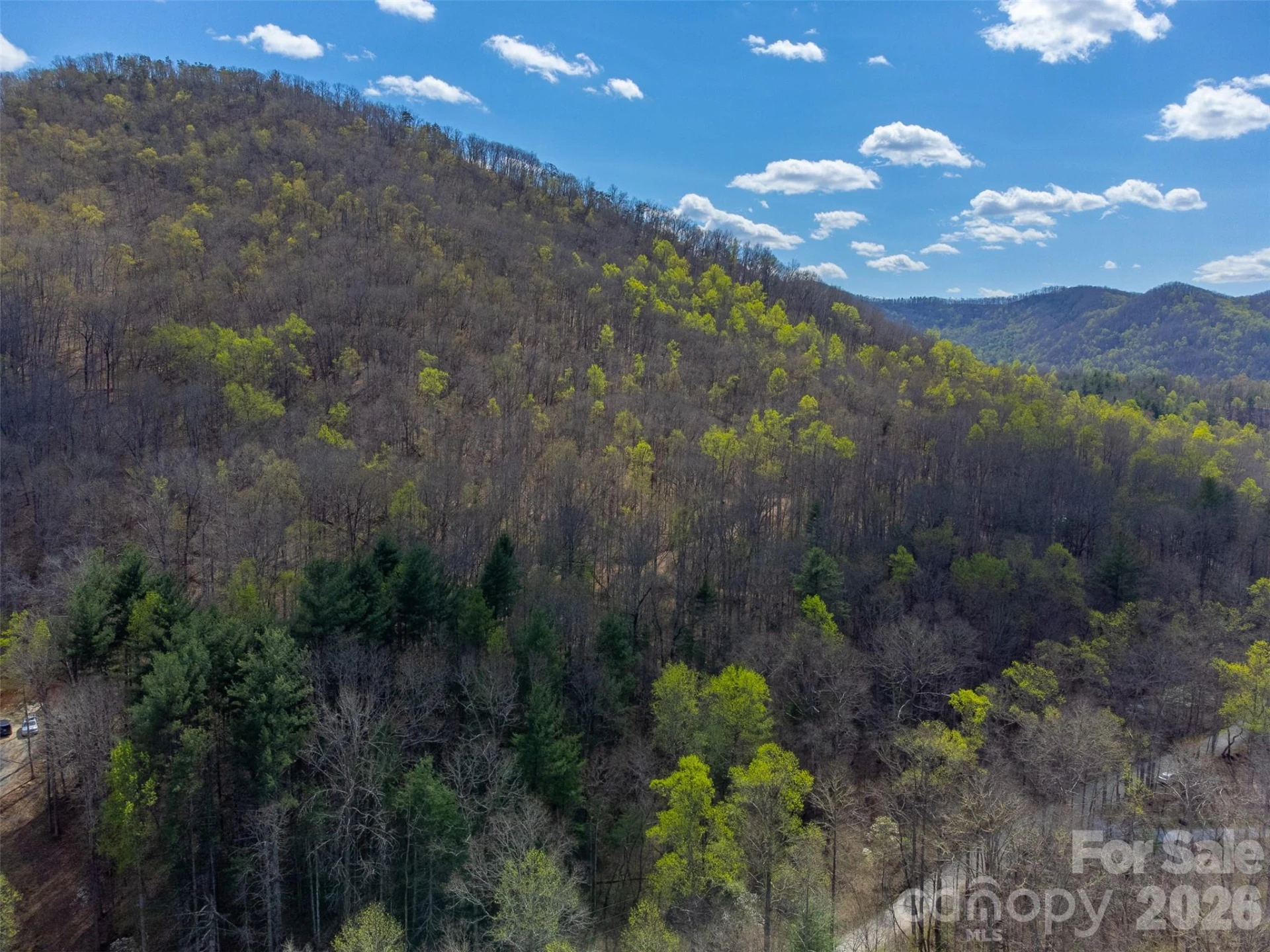 306 Cedar Creek Farm Road - Photo 17