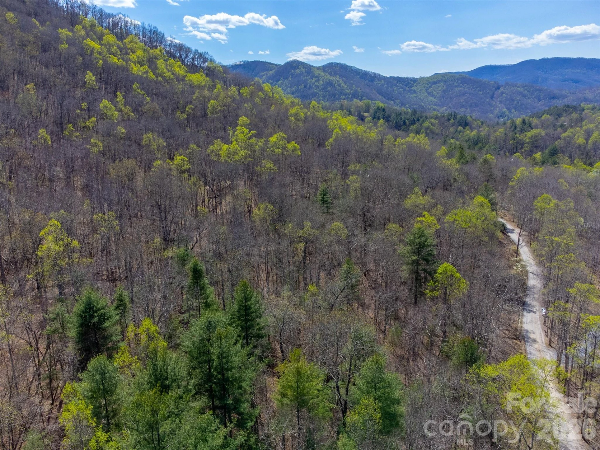 306 Cedar Creek Farm Road - Photo 18