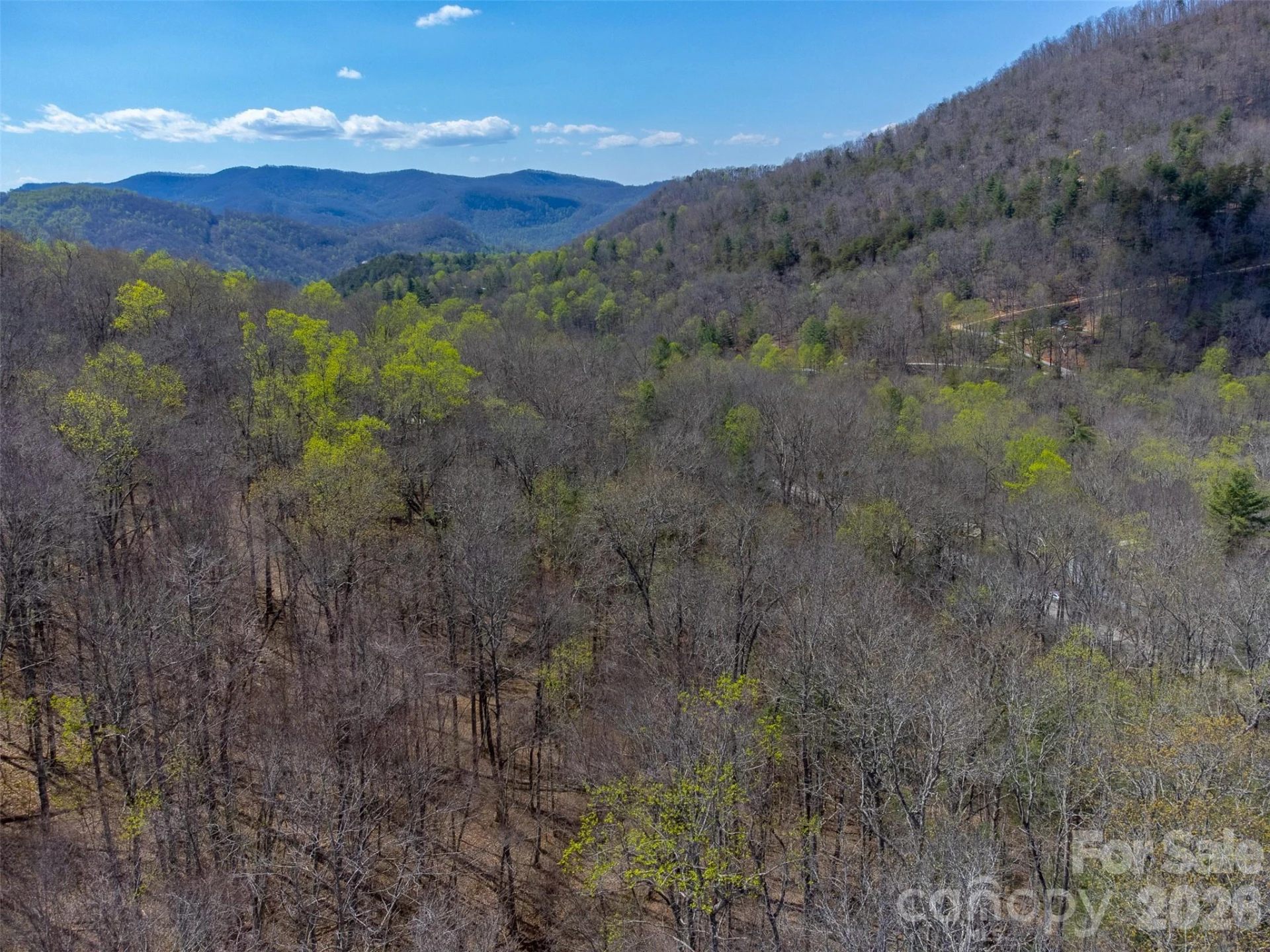 306 Cedar Creek Farm Road - Photo 19