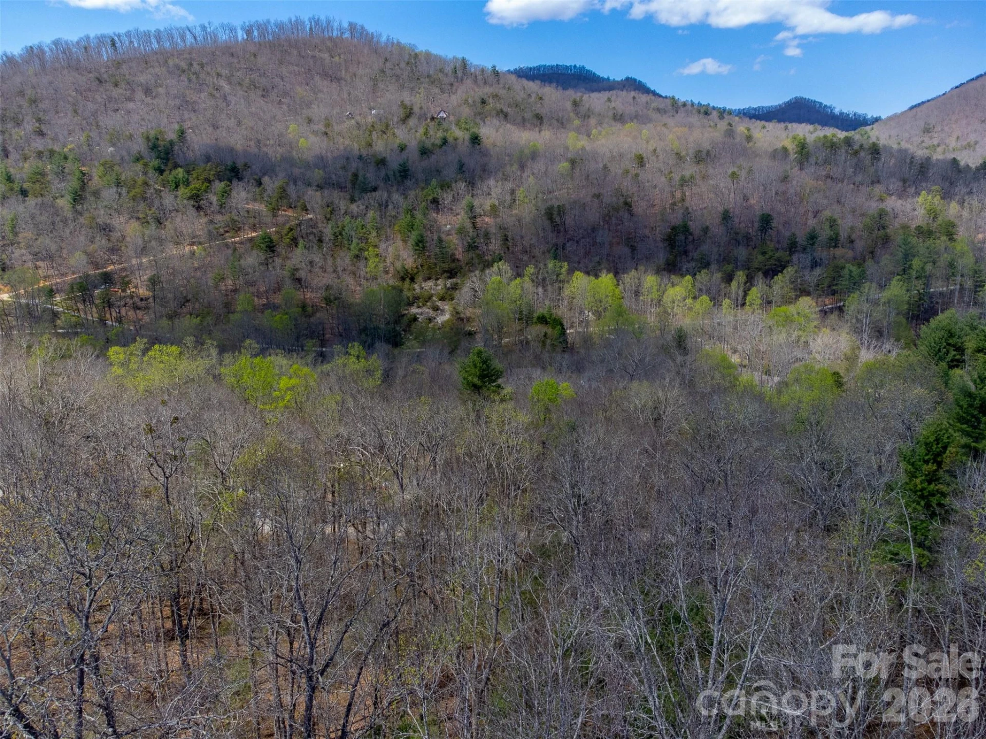 306 Cedar Creek Farm Road - Photo 20