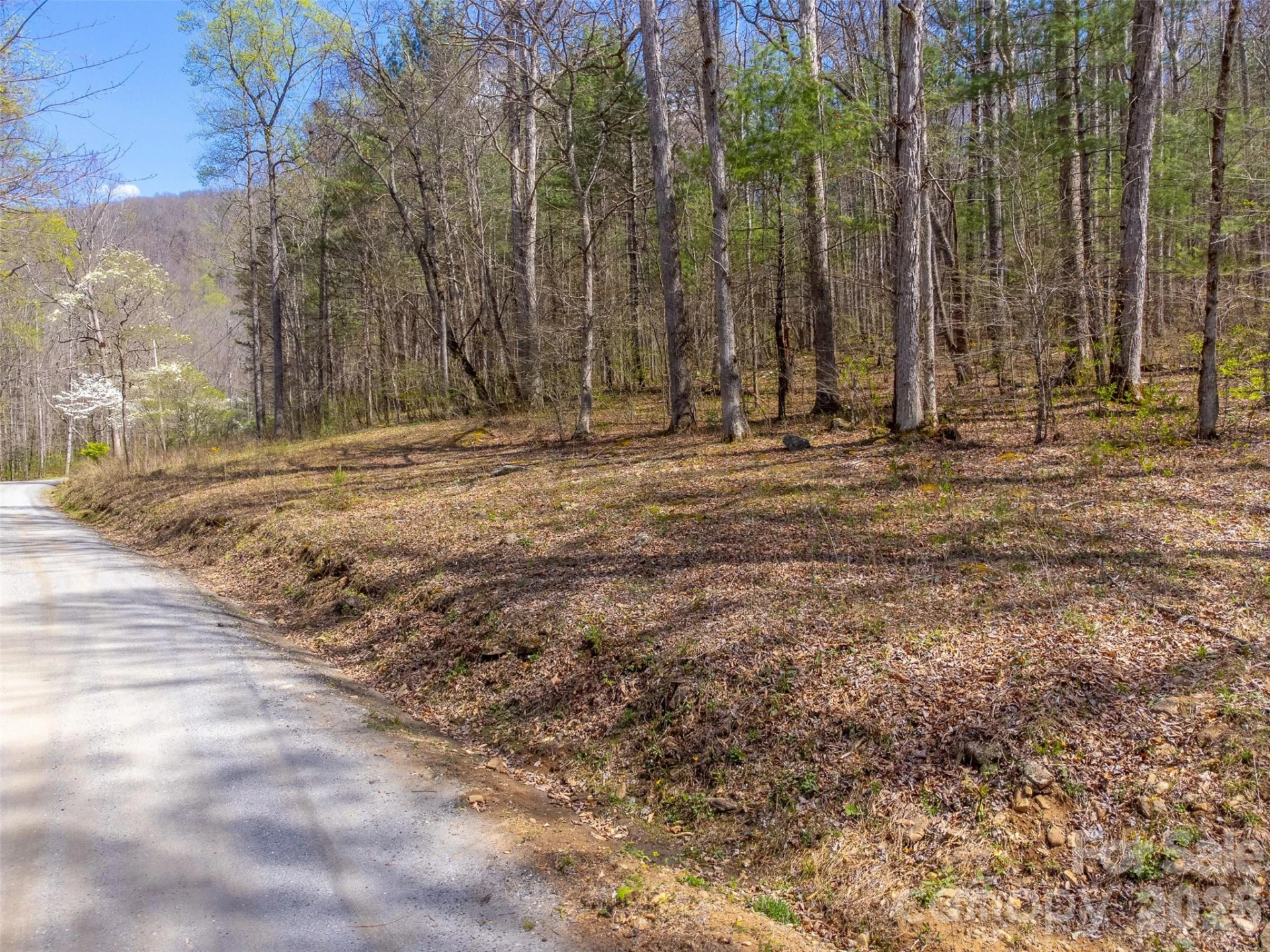 306 Cedar Creek Farm Road - Photo 3