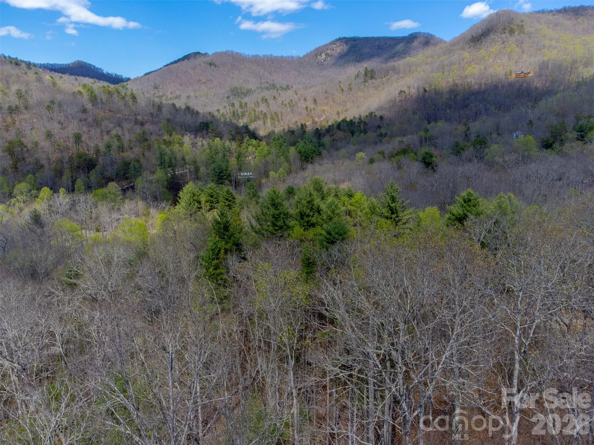 306 Cedar Creek Farm Road - Photo 21