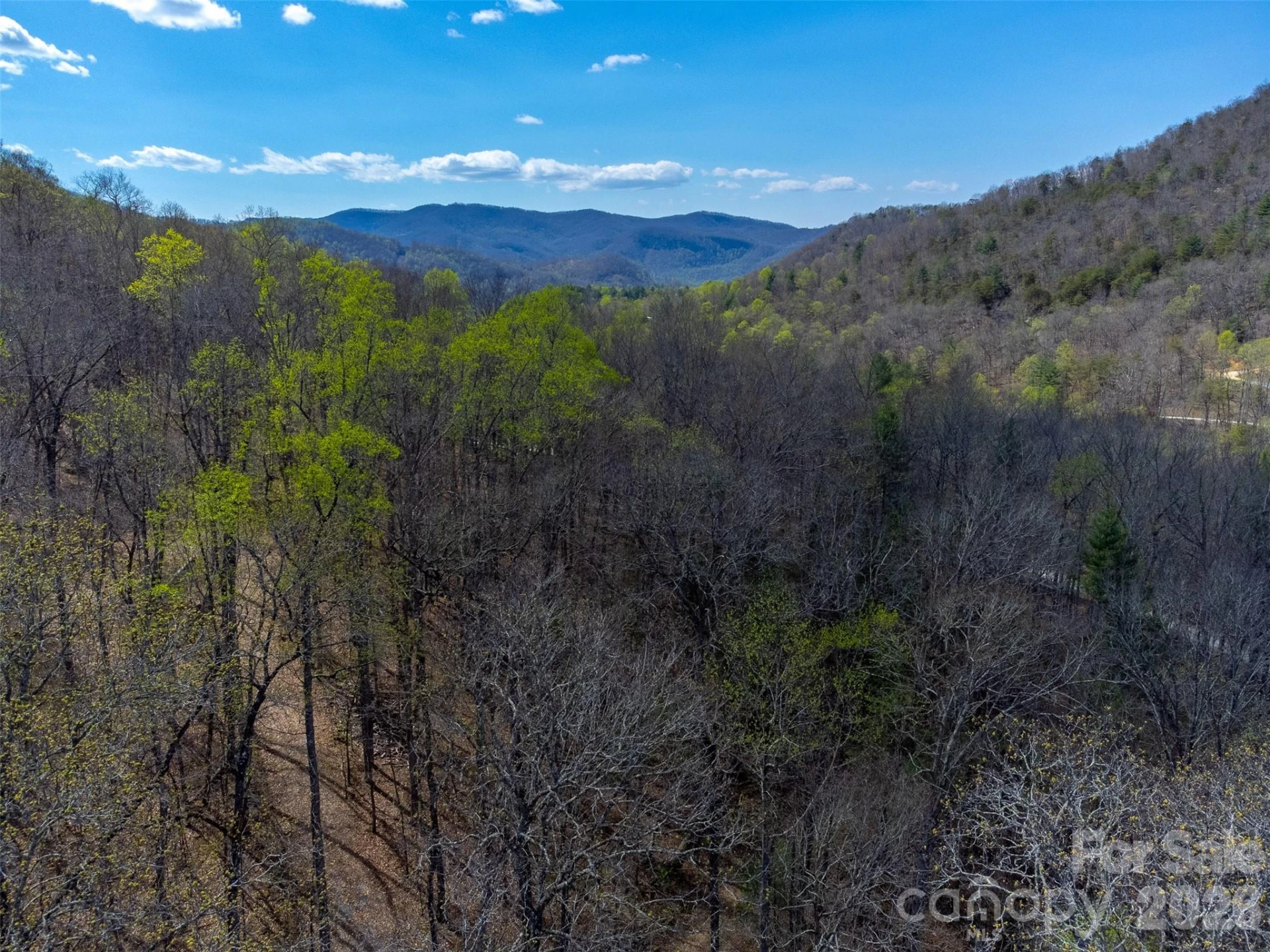306 Cedar Creek Farm Road - Photo 22