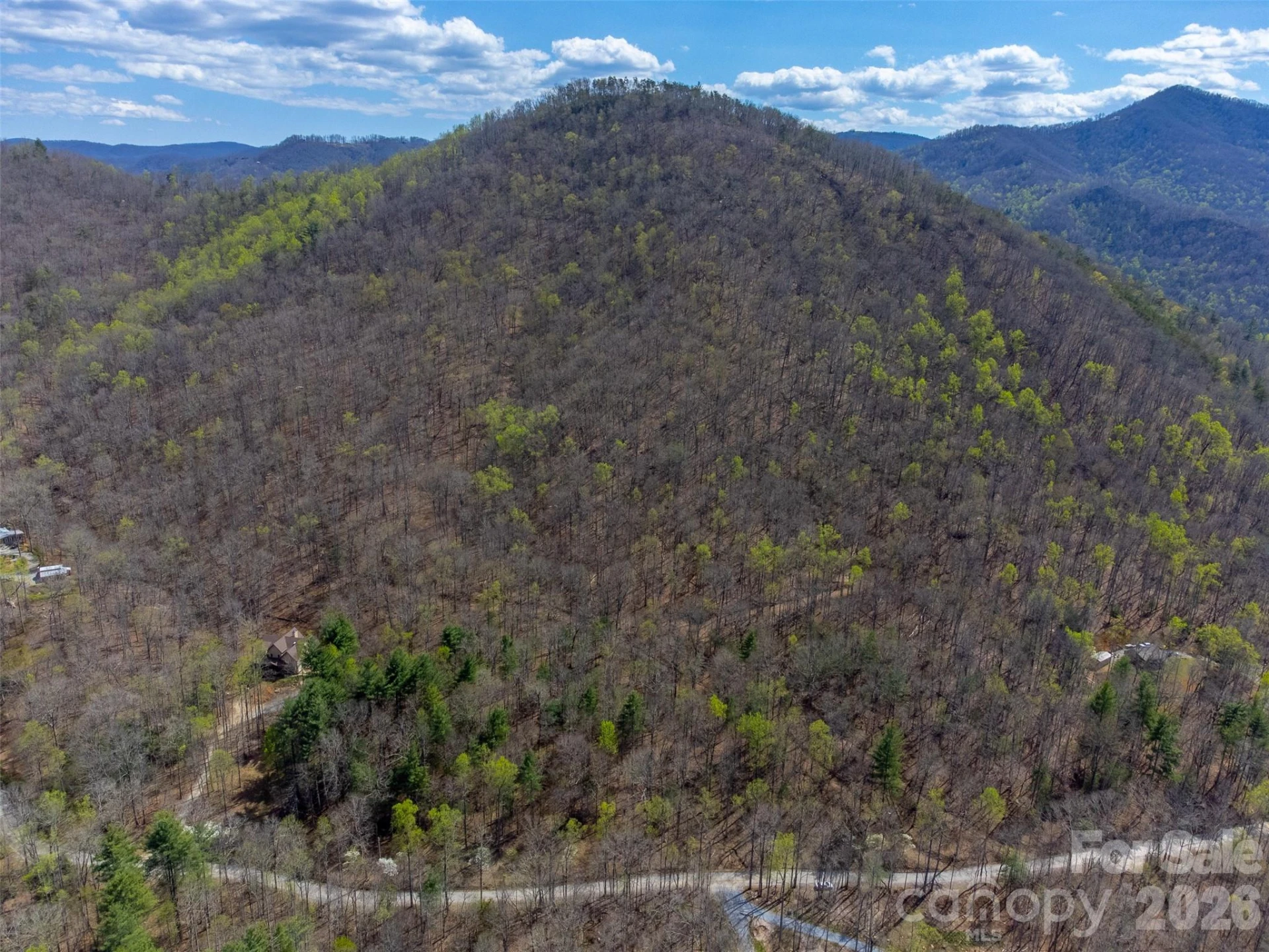 306 Cedar Creek Farm Road - Photo 24