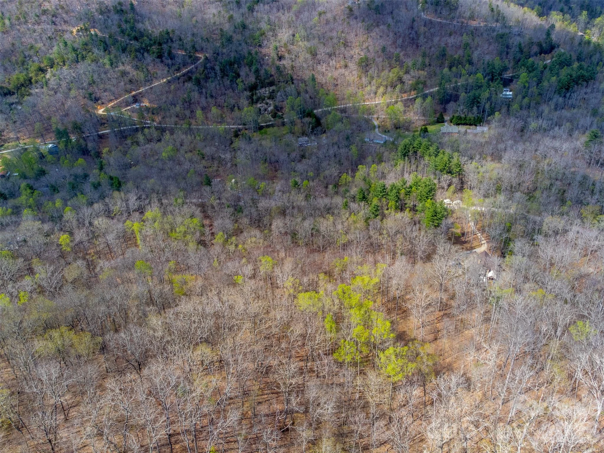 306 Cedar Creek Farm Road - Photo 27