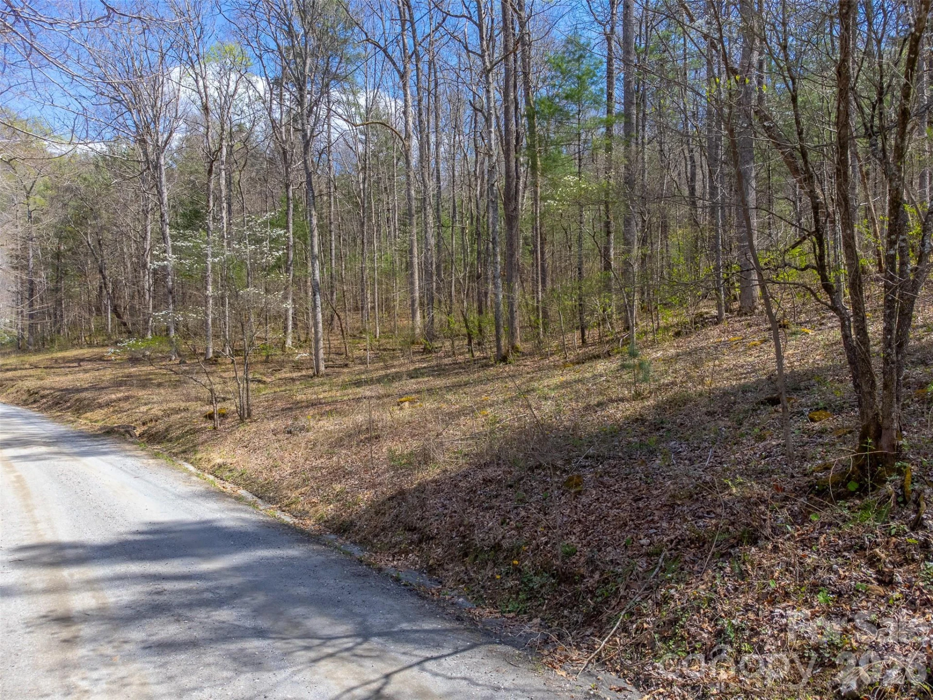 306 Cedar Creek Farm Road - Photo 29