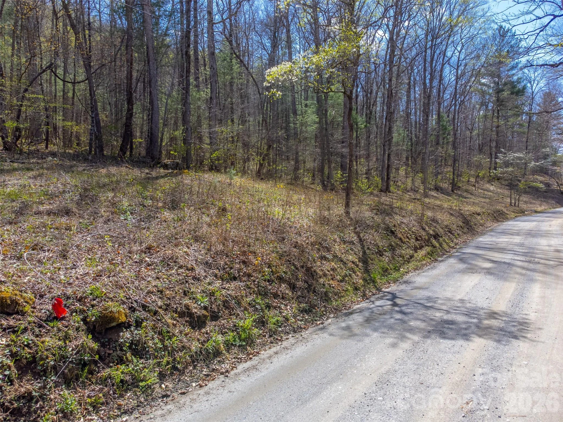 306 Cedar Creek Farm Road - Photo 5