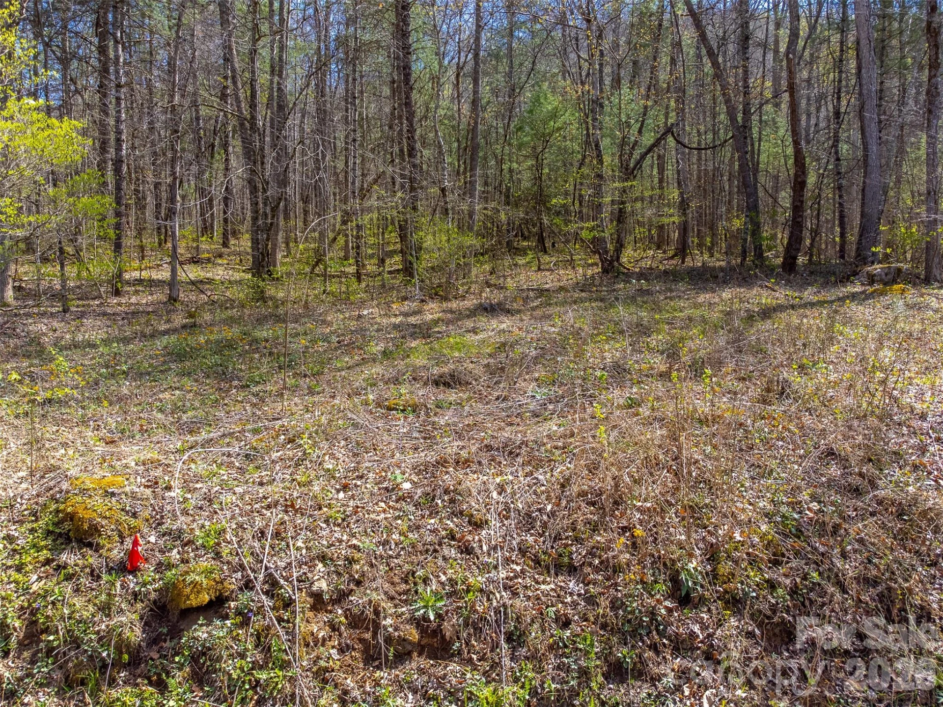306 Cedar Creek Farm Road - Photo 6